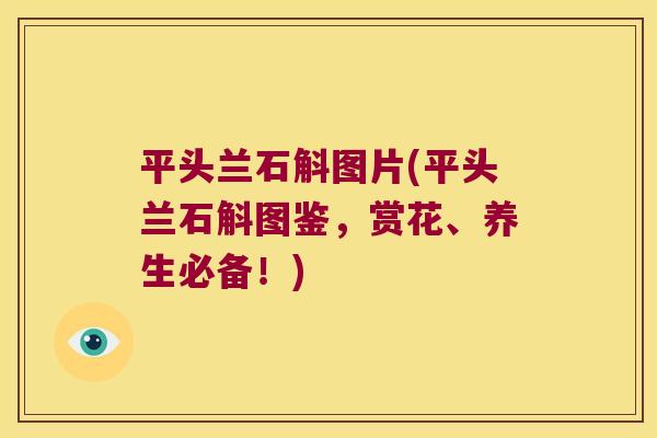 平头兰石斛图片(平头兰石斛图鉴，赏花、养生必备！)