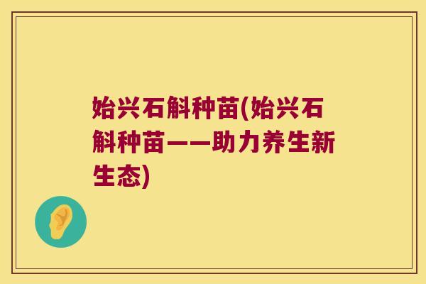 始兴石斛种苗(始兴石斛种苗——助力养生新生态)
