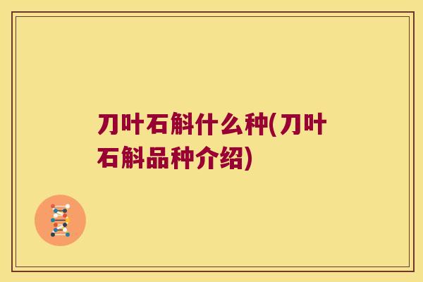 刀叶石斛什么种(刀叶石斛品种介绍)