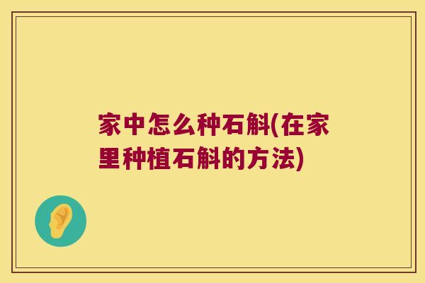 家中怎么种石斛(在家里种植石斛的方法)