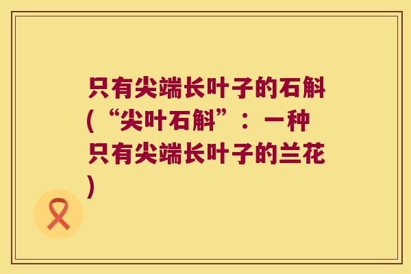 只有尖端长叶子的石斛(“尖叶石斛”：一种只有尖端长叶子的兰花)