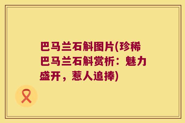 巴马兰石斛图片(珍稀巴马兰石斛赏析：魅力盛开，惹人追捧)