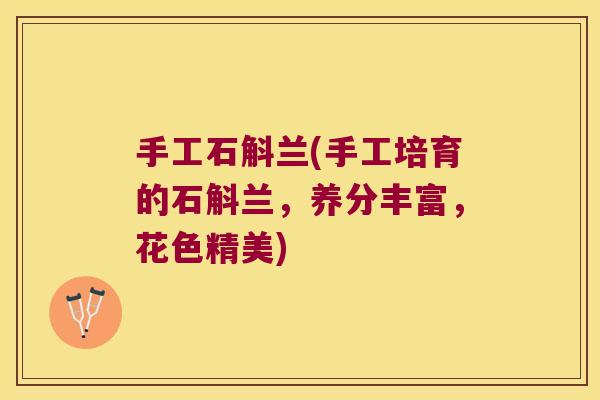 手工石斛兰(手工培育的石斛兰，养分丰富，花色精美)
