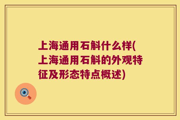 上海通用石斛什么样(上海通用石斛的外观特征及形态特点概述)