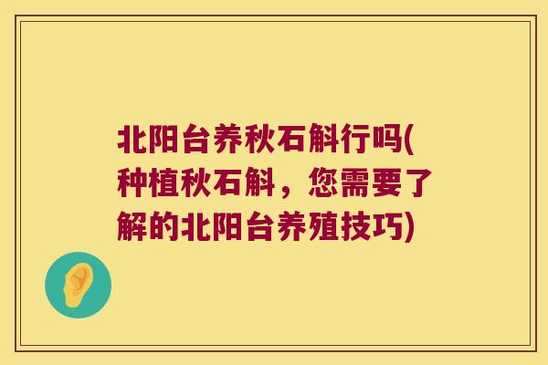 北阳台养秋石斛行吗(种植秋石斛，您需要了解的北阳台养殖技巧)