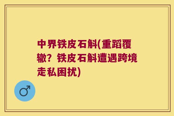 中界铁皮石斛(重蹈覆辙？铁皮石斛遭遇跨境走私困扰)