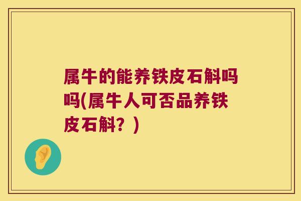 属牛的能养铁皮石斛吗吗(属牛人可否品养铁皮石斛？)