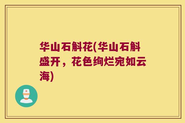 华山石斛花(华山石斛盛开，花色绚烂宛如云海)