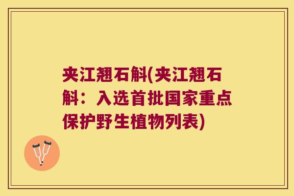 夹江翘石斛(夹江翘石斛：入选首批国家重点保护野生植物列表)