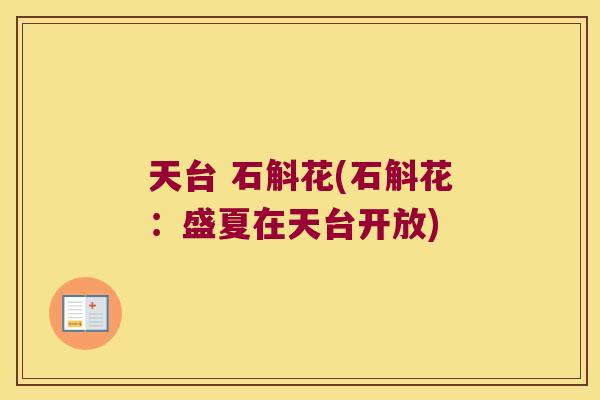 天台 石斛花(石斛花：盛夏在天台开放)