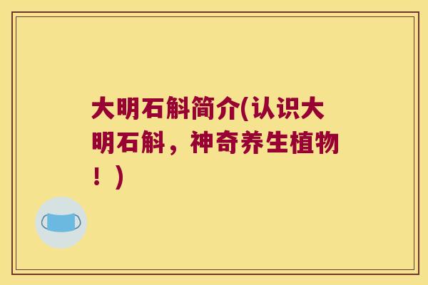 大明石斛简介(认识大明石斛，神奇养生植物！)