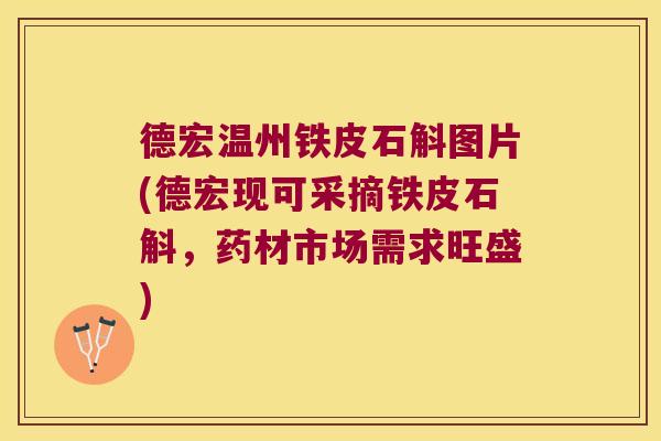 德宏温州铁皮石斛图片(德宏现可采摘铁皮石斛，药材市场需求旺盛)