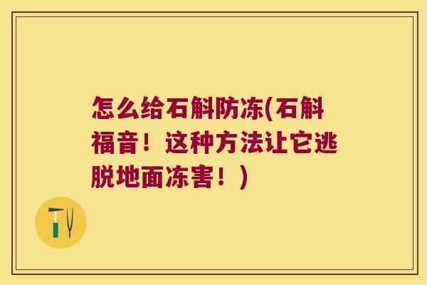 怎么给石斛防冻(石斛福音！这种方法让它逃脱地面冻害！)