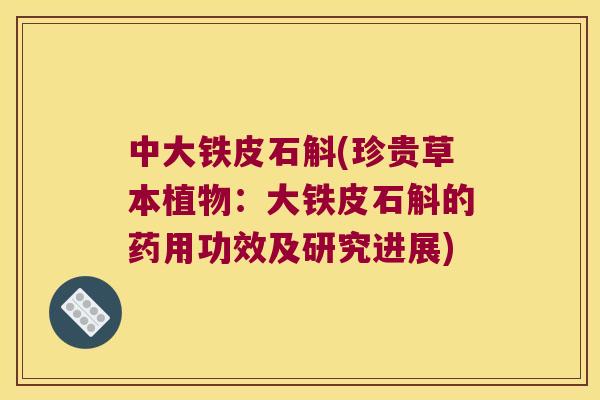 中大铁皮石斛(珍贵草本植物：大铁皮石斛的药用功效及研究进展)