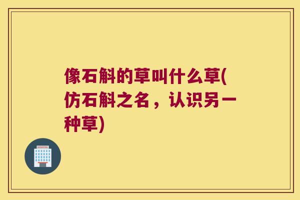 像石斛的草叫什么草(仿石斛之名，认识另一种草)