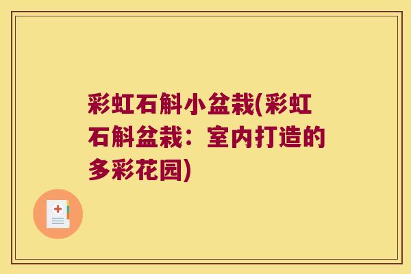 彩虹石斛小盆栽(彩虹石斛盆栽：室内打造的多彩花园)