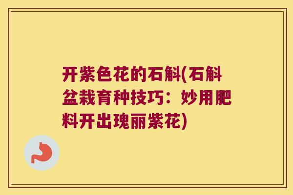 开紫色花的石斛(石斛盆栽育种技巧：妙用肥料开出瑰丽紫花)