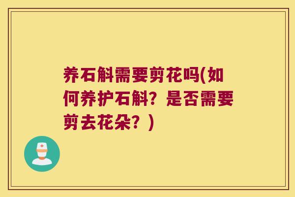 养石斛需要剪花吗(如何养护石斛?是否需要剪去花朵?) 养石斛需要剪花吗(如何养护石斛?是否需要剪去花朵?)