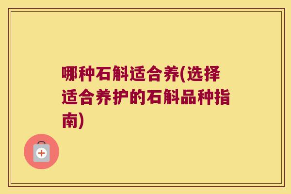 哪种石斛适合养(选择适合养护的石斛品种指南)