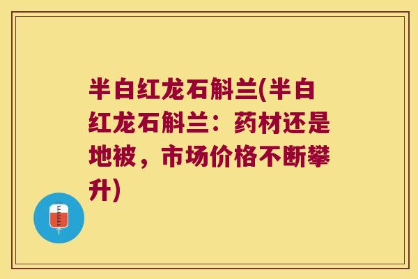 半白红龙石斛兰(半白红龙石斛兰：药材还是地被，市场价格不断攀升)