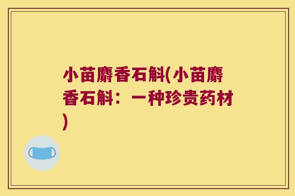 小苗麝香石斛(小苗麝香石斛：一种珍贵药材)