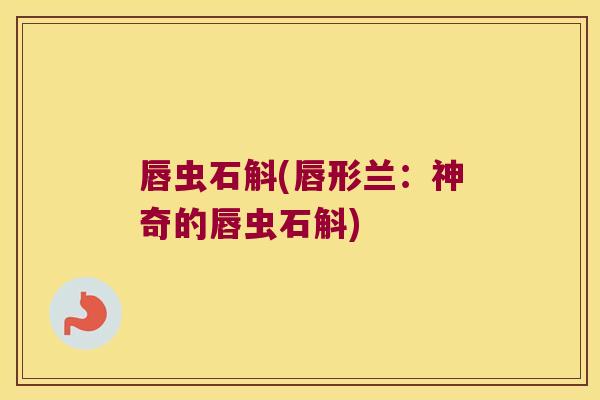 唇虫石斛(唇形兰：神奇的唇虫石斛)