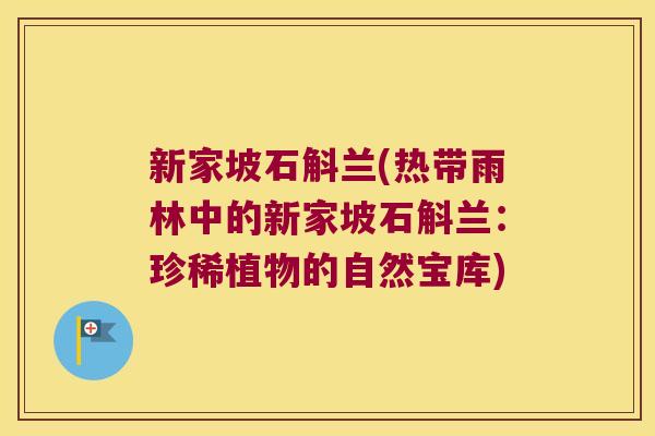 新家坡石斛兰(热带雨林中的新家坡石斛兰：珍稀植物的自然宝库)