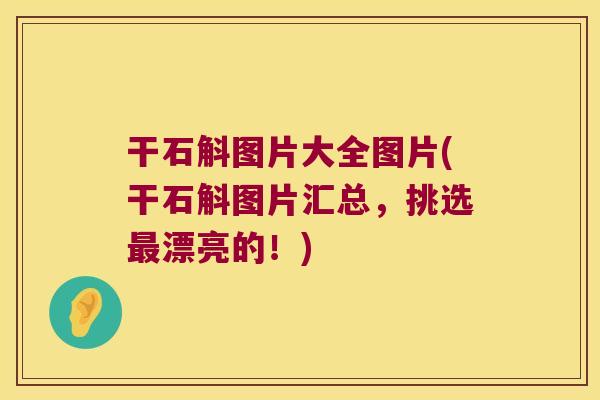 干石斛图片大全图片(干石斛图片汇总，挑选最漂亮的！)
