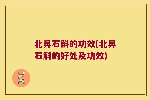 北鼻石斛的功效(北鼻石斛的好处及功效)