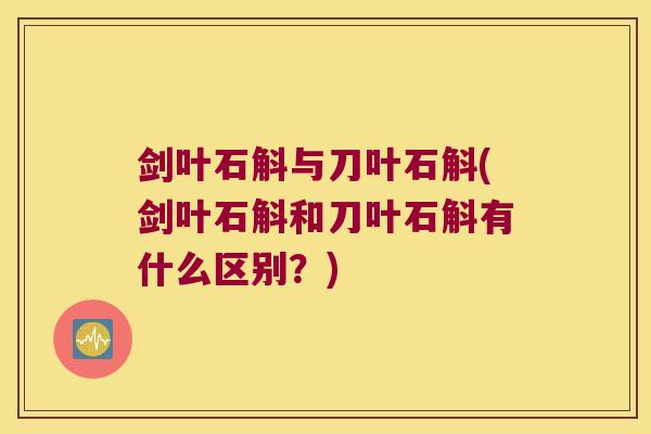 剑叶石斛与刀叶石斛(剑叶石斛和刀叶石斛有什么区别？)