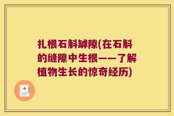 扎根石斛罅隙(在石斛的缝隙中生根——了解植物生长的惊奇经历)