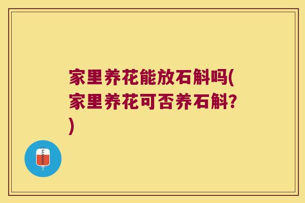 家里养花能放石斛吗(家里养花可否养石斛?) 家里养花能放石斛吗(家里养花可否养石斛?)