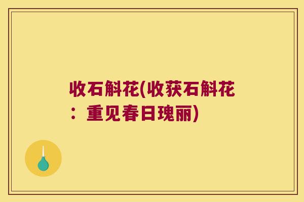 收石斛花(收获石斛花：重见春日瑰丽)