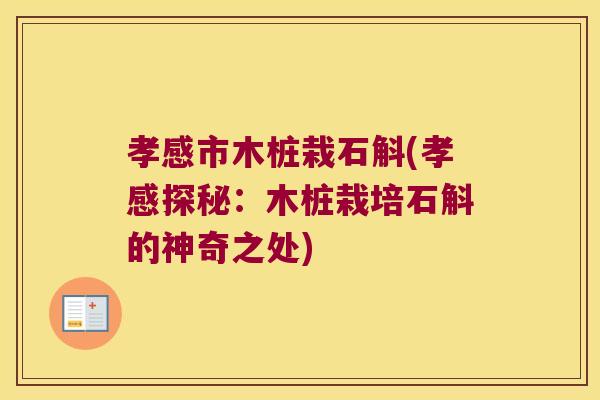 孝感市木桩栽石斛(孝感探秘：木桩栽培石斛的神奇之处)