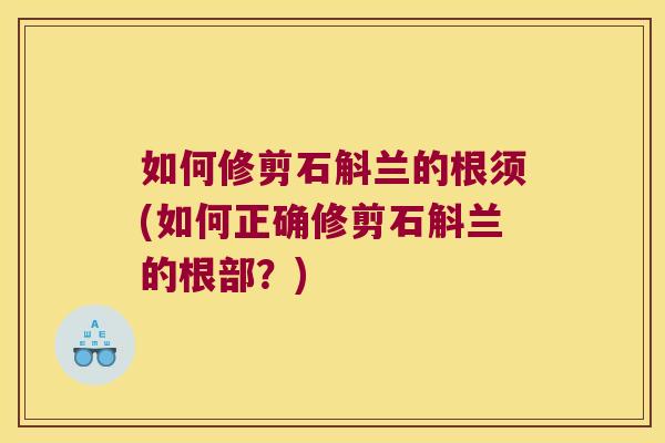 如何修剪石斛兰的根须(如何正确修剪石斛兰的根部？)