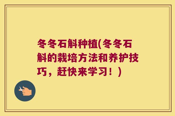 冬冬石斛种植(冬冬石斛的栽培方法和养护技巧，赶快来学习！)