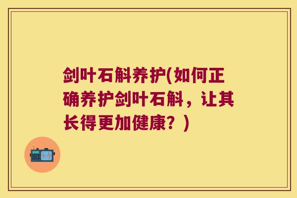 剑叶石斛养护(如何正确养护剑叶石斛，让其长得更加健康？)