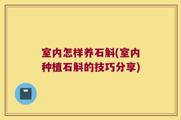 室内怎样养石斛(室内种植石斛的技巧分享)
