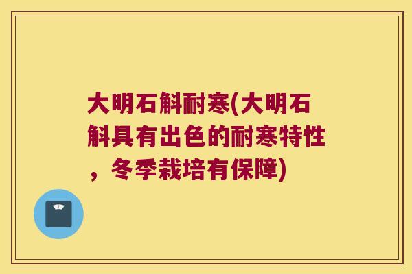 大明石斛耐寒(大明石斛具有出色的耐寒特性，冬季栽培有保障)