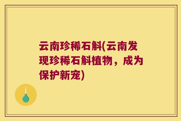 云南珍稀石斛(云南发现珍稀石斛植物，成为保护新宠)