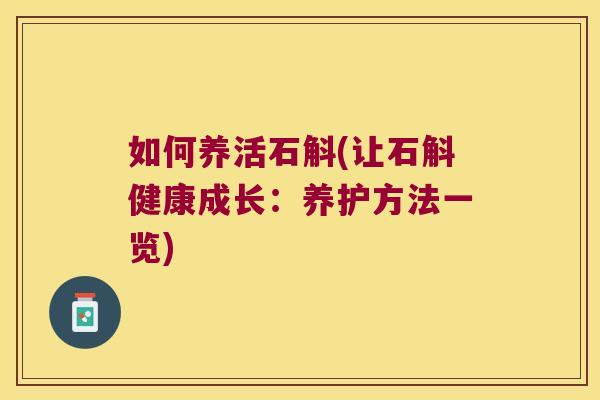 如何养活石斛(让石斛健康成长：养护方法一览)