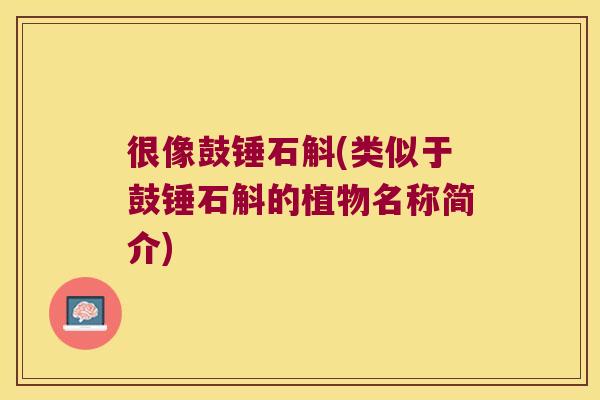很像鼓锤石斛(类似于鼓锤石斛的植物名称简介)