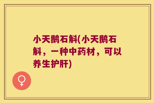 小天鹅石斛(小天鹅石斛，一种中药材，可以养生护肝)