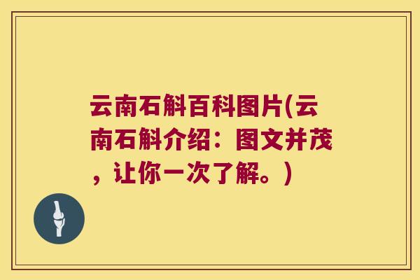 云南石斛百科图片(云南石斛介绍：图文并茂，让你一次了解。)