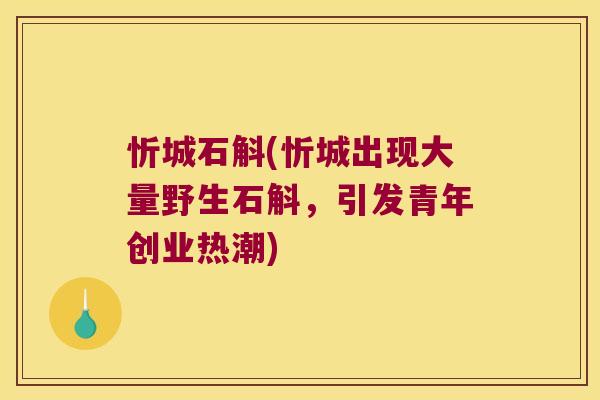 忻城石斛(忻城出现大量野生石斛，引发青年创业热潮)