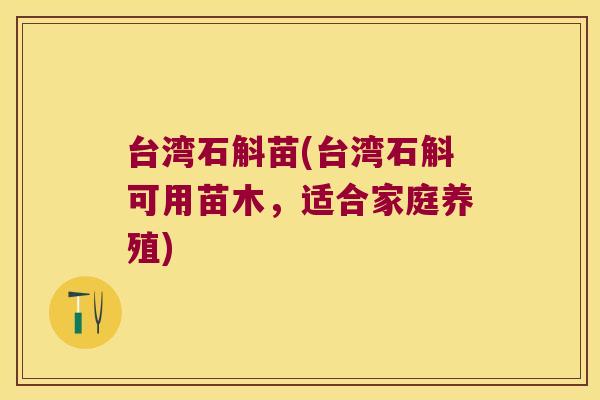 台湾石斛苗(台湾石斛可用苗木，适合家庭养殖)