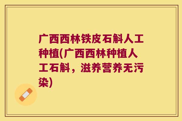 广西西林铁皮石斛人工种植(广西西林种植人工石斛，滋养营养无污染)