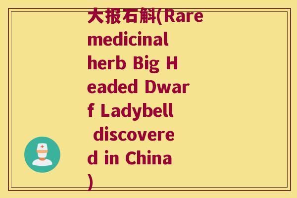大报石斛(Rare medicinal herb Big Headed Dwarf Ladybell discovered in China)