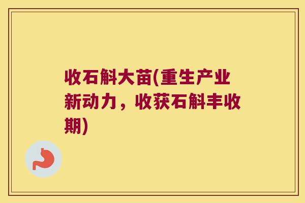 收石斛大苗(重生产业新动力,收获石斛丰收期) 收石斛大苗(重生产业新动力,收获石斛丰收期)