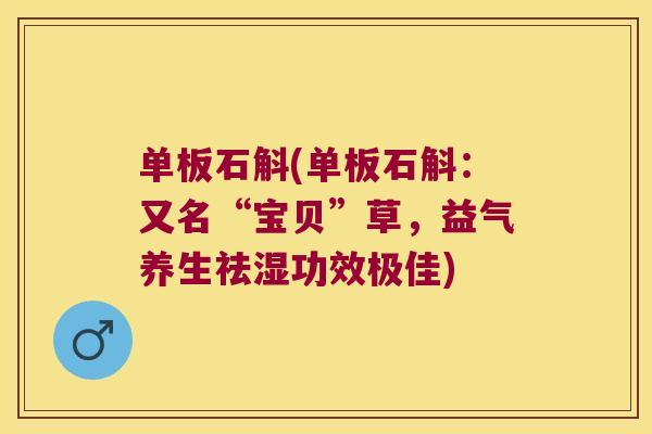单板石斛(单板石斛：又名“宝贝”草，益气养生祛湿功效极佳)